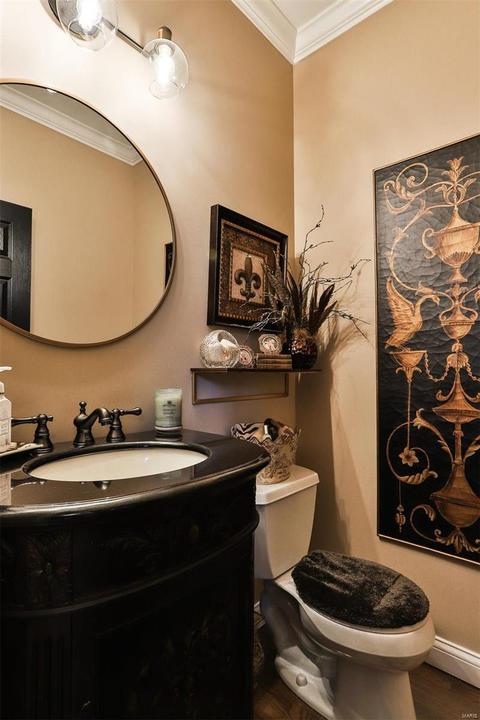557 Autumn Bluff Dr, Ellisville, MO 63021 photo 33