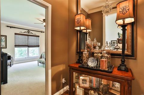 557 Autumn Bluff Dr, Ellisville, MO 63021 photo 34