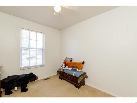 5 Karington Ct, O'fallon, MO 63368 photo 20