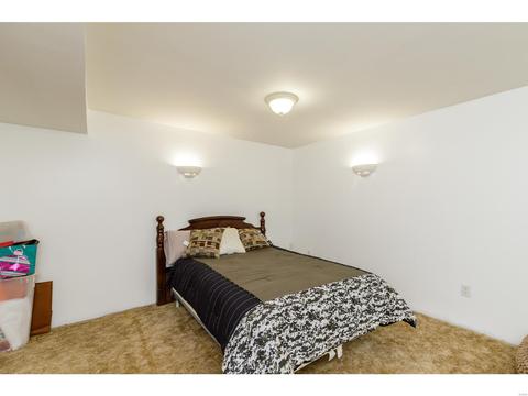 5 Karington Ct, O'fallon, MO 63368 photo 28