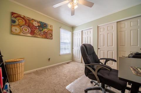 910 Palm Bay, Ballwin, MO 63021 photo 19