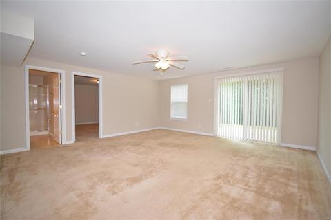 245 Belmonte Cir, O'fallon, MO 63368 photo 20