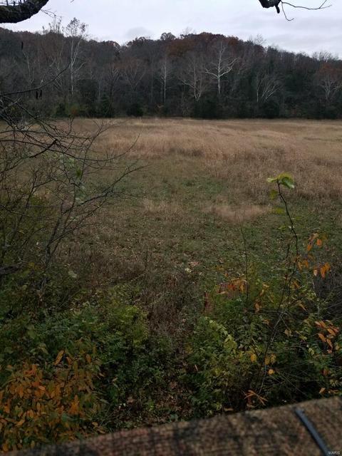 10812 Buckeye Rd, Festus, MO 63028 photo 2
