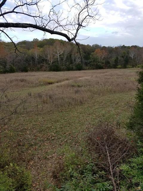 10812 Buckeye Rd, Festus, MO 63028 photo 1
