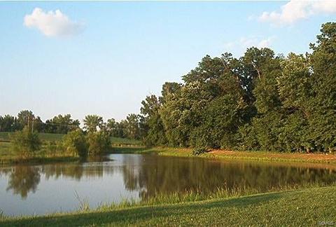 7 Creekside Dr, Saint Peters, MO 63376 photo 47