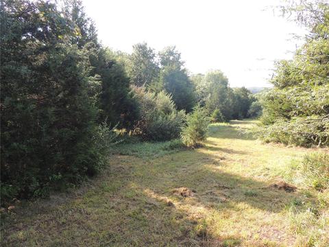 2446 Alpine Meadows Dr, Innsbrook, MO 63390 photo 5