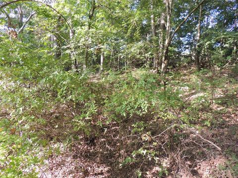 2446 Alpine Meadows Dr, Innsbrook, MO 63390 photo 11