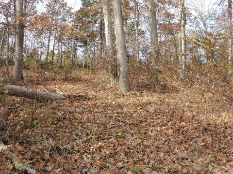 2446 Alpine Meadows Dr, Innsbrook, MO 63390 photo 16
