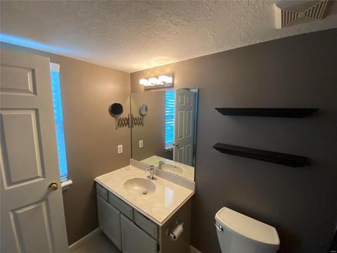 2401 Balaji, Wildwood, MO 63011 photo 38