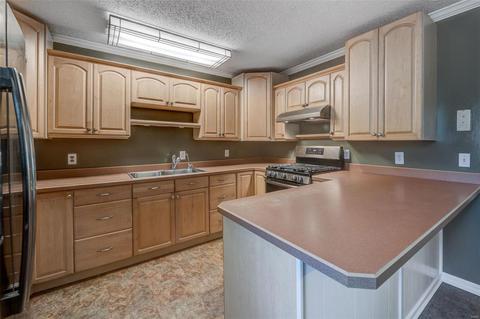 21 S Meadow Dr, O'fallon, MO 63366 photo 8