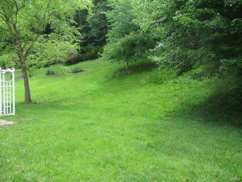 720 Vista Glen Ct, Eureka, MO 63025 photo 34