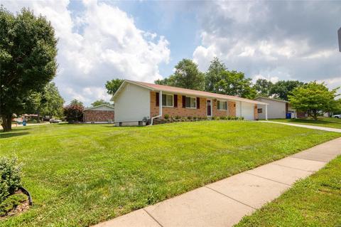 11771 Benedetta, Bridgeton, MO 63044 photo 24