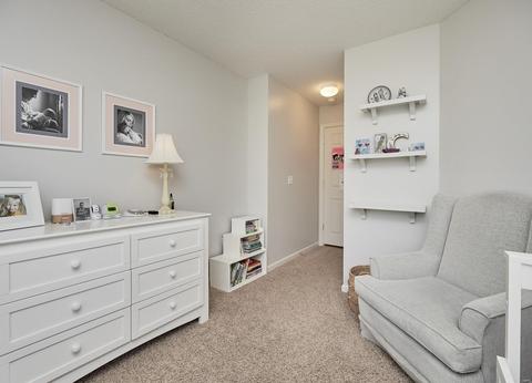 7007 Audrain Mill Dr, O'fallon, MO 63368 photo 22