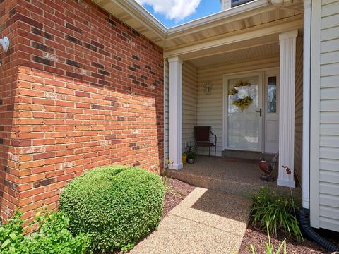 7007 Audrain Mill Dr, O'fallon, MO 63368 photo 46