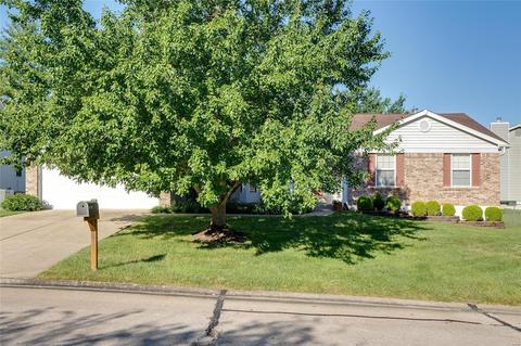 403 White Chapel Dr, O'fallon, MO 63368 photo 2