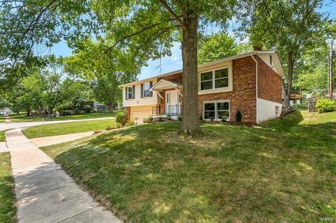 899 Oklahoma Ave, Ballwin, MO 63021 photo 30