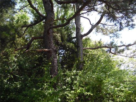 18711 Hardt, Glencoe, MO 63038 photo 7
