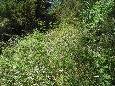 18711 Hardt, Glencoe, MO 63038 photo 3