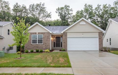 143 Brookview Way Dr, O'fallon, MO 63366 photo 1