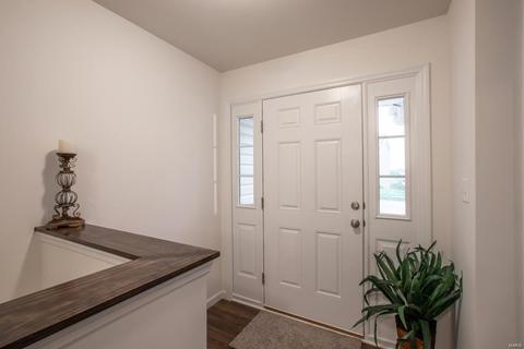 143 Brookview Way Dr, O'fallon, MO 63366 photo 3