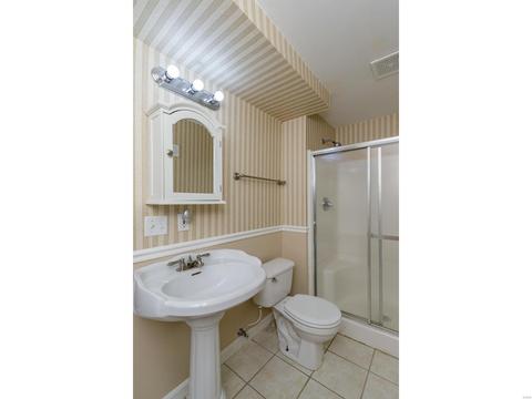 4 Beech Ct, O'fallon, MO 63368 photo 36