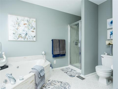 2806 Royallview Way, O'fallon, MO 63368 photo 23