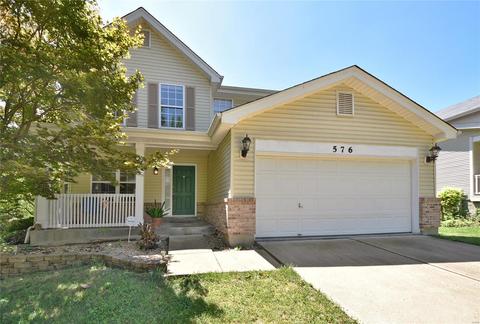 576 Elm Crossing Ct, Ballwin, MO 63021 photo 43