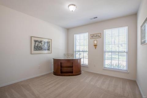 106 Hawks Haven Dr, O'fallon, MO 63368 photo 17