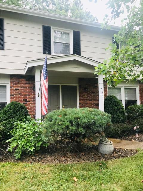 254 Pine Tree Ln, Ballwin, MO 63011 photo 45