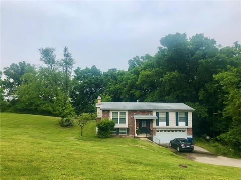 1353 Macklin Dr, Ellisville, MO 63021 photo 1