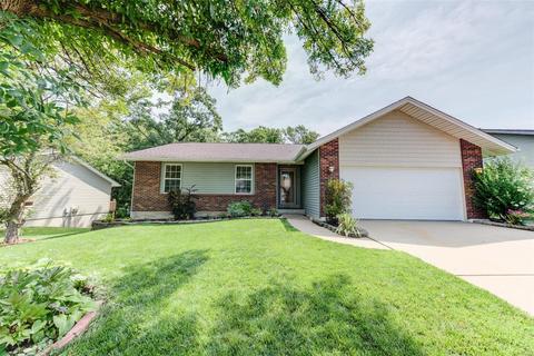 53 Chip Dr, O'fallon, MO 63366 photo 1