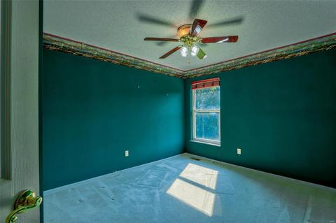 5183 Rosemount Dr, Weldon Spring, MO 63304 photo 24
