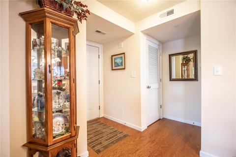 3203 Spring River Dr, O'fallon, MO 63368 photo 4