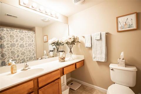 3203 Spring River Dr, O'fallon, MO 63368 photo 25