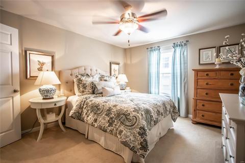 3203 Spring River Dr, O'fallon, MO 63368 photo 15