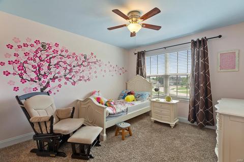 252 Oakhurst Cir, O'fallon, MO 63368 photo 30