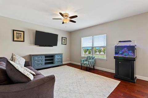 252 Oakhurst Cir, O'fallon, MO 63368 photo 19