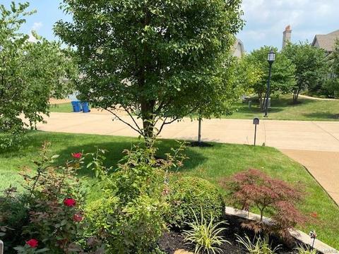 443 Maple Rise Path, Chesterfield, MO 63005 photo 22