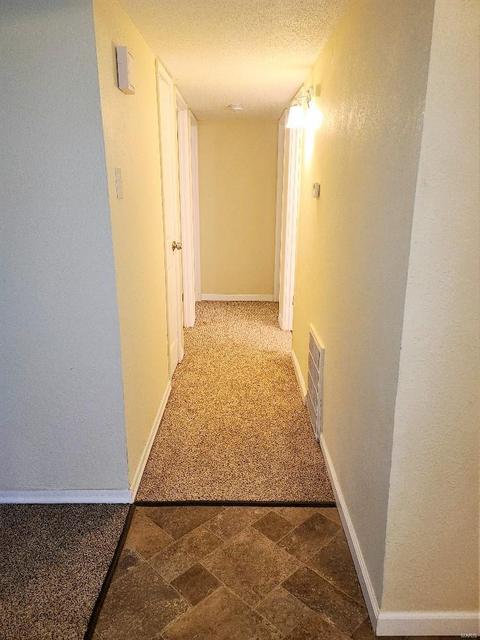 10843 Spring Ave, Saint Ann, MO 63074 photo 15