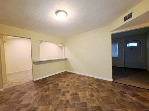 10843 Spring Ave, Saint Ann, MO 63074 photo 9