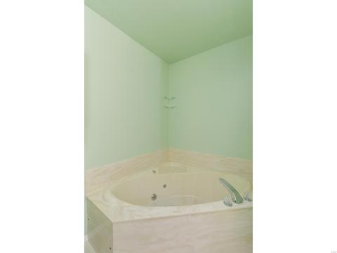 1400 Sunview Dr, O'fallon, MO 63366 photo 22