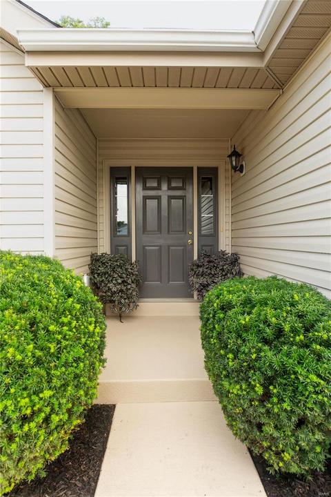 250 Spring Borough, O'fallon, MO 63368 photo 5