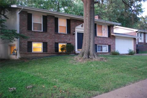 1135 Villaview, Manchester, MO 63021 photo 1