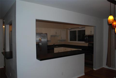 1135 Villaview, Manchester, MO 63021 photo 3
