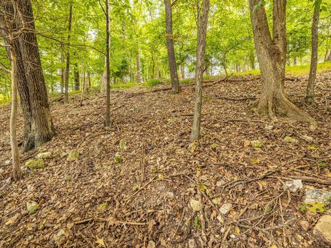 369 Gateford, Ballwin, MO 63021 photo 42
