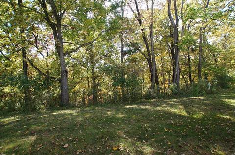 873 Woodside Trails Dr, Ballwin, MO 63021 photo 31