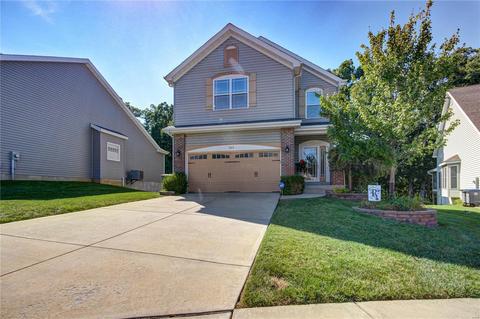 262 Sunset Villa Ln, O'fallon, MO 63366 photo 40