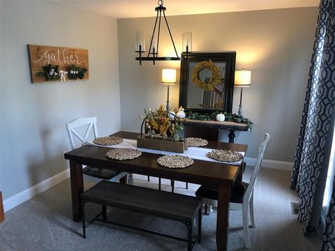 711 Red Hawk Pl, O'fallon, MO 63368 photo 5