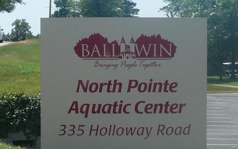 265 White Tree Ln, Ballwin, MO 63011 photo 36