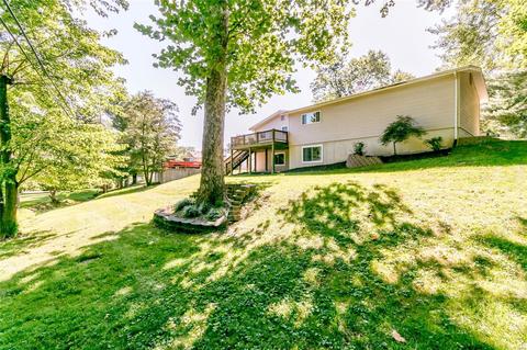 265 White Tree Ln, Ballwin, MO 63011 photo 4
